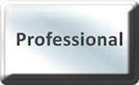 Project Management Training Professional